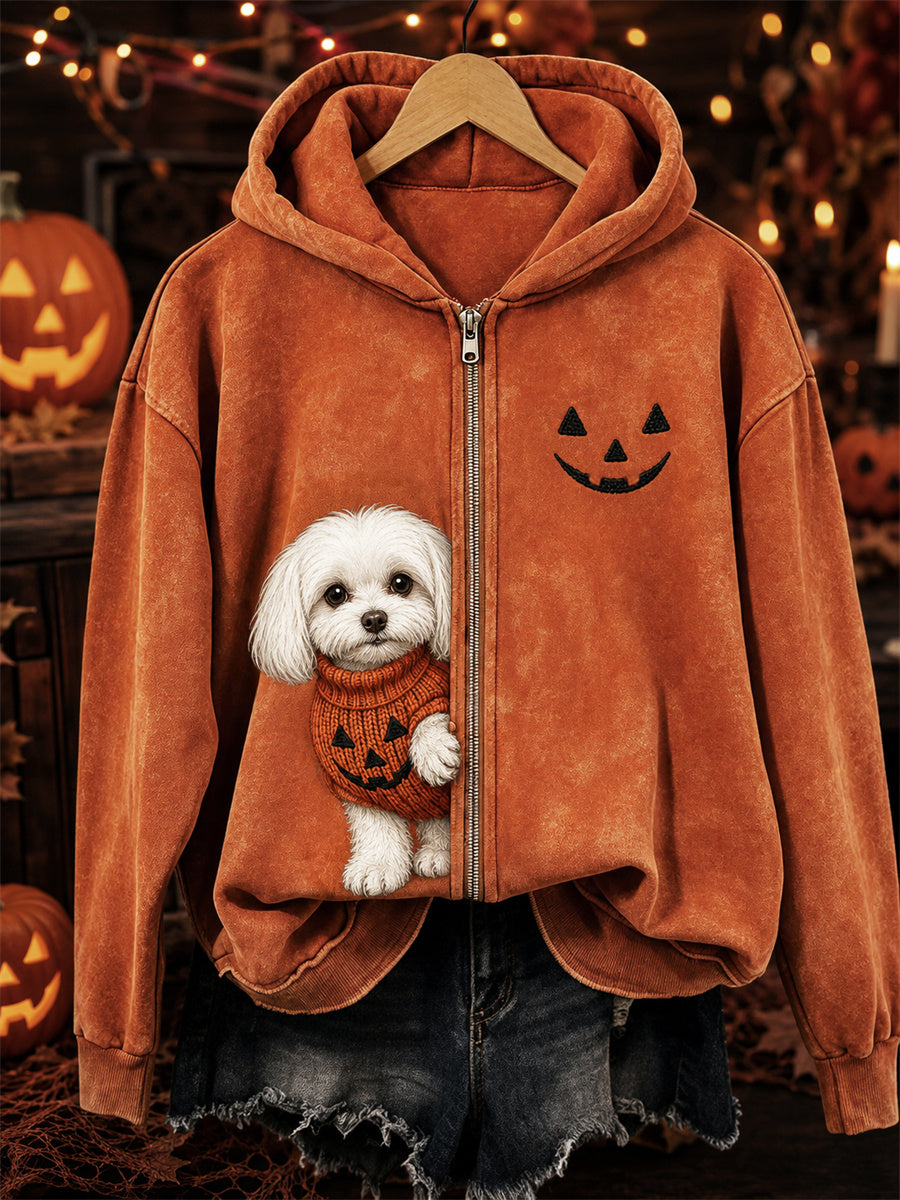 Women's Halloween Peeking Maltese Dog & Pumpkin Face Print Full Zip Hoodie